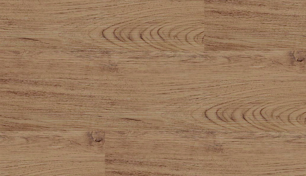 ▲1905 哈佛原橡 Harvard Oak